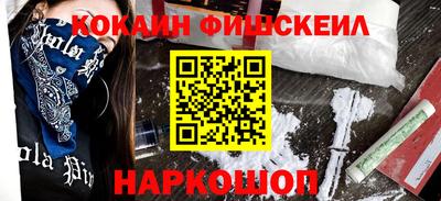 крисы Моздок