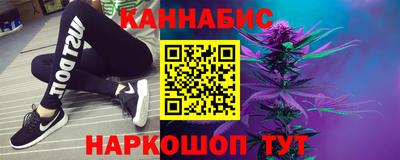 крисы Моздок