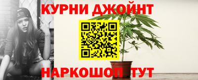 крисы Моздок