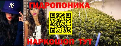 крисы Моздок