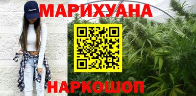 крисы Моздок
