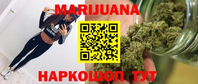 крисы Моздок