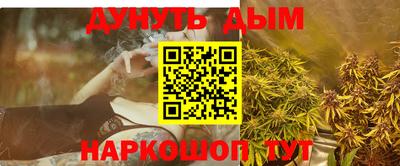 крисы Моздок