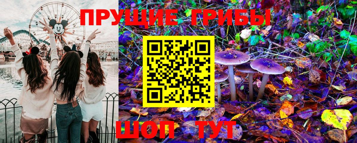 Ижевск  Псилоцибиновые грибы Cubensis  Псилоцибиновые грибы прущие грибы  Вход с VPN 